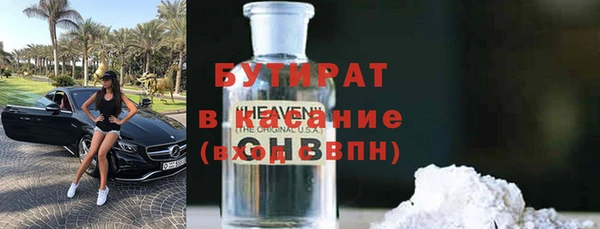 хмурый Пересвет