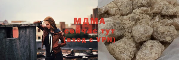 хмурый Пересвет