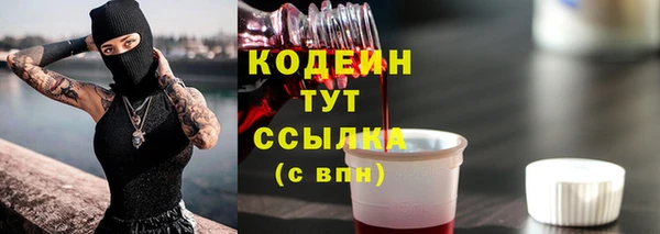 хмурый Пересвет