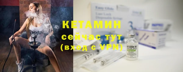 хмурый Пересвет
