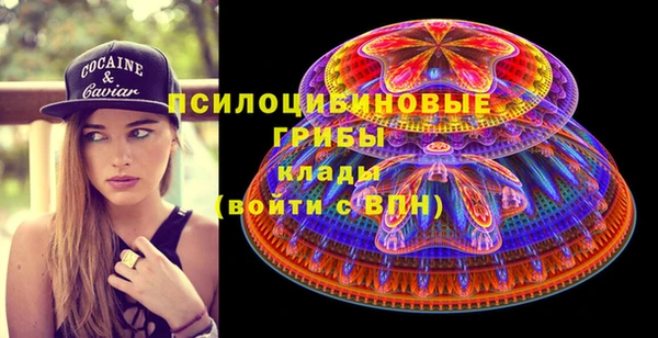 хмурый Пересвет