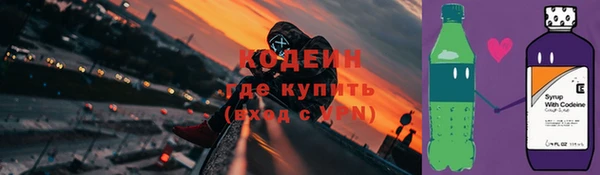 хмурый Пересвет