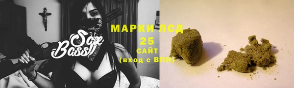 хмурый Пересвет