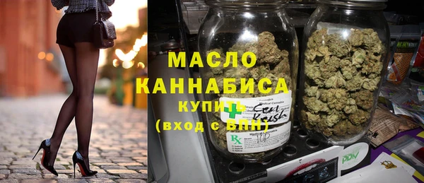 хмурый Пересвет