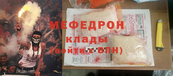 хмурый Пересвет