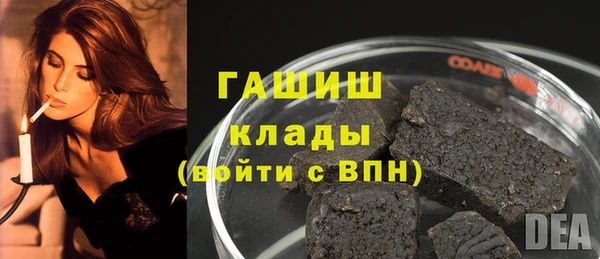 хмурый Пересвет
