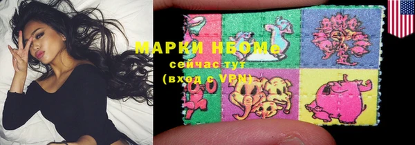 хмурый Пересвет