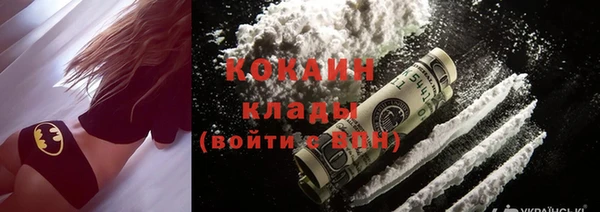 хмурый Пересвет