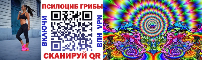 Псилоцибиновые грибы прущие грибы Купить где Шацк